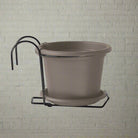 Basic Round Kit 50, Mix Colors - Acacia Garden Center