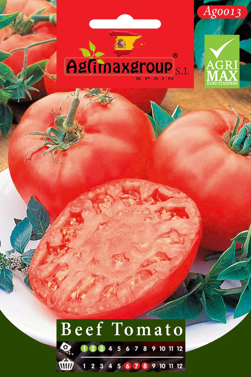 Beef Tomato - Acacia Garden Center