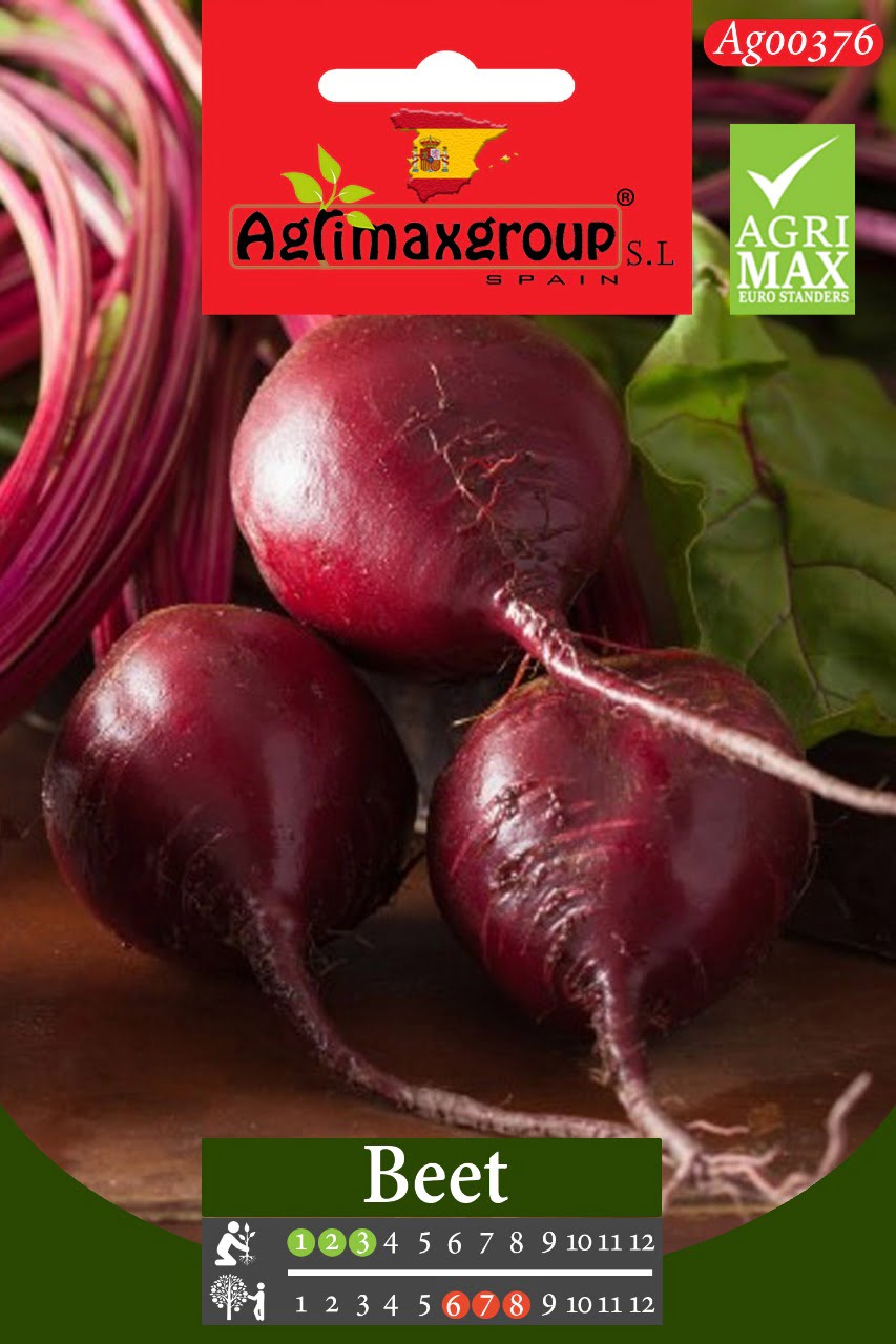 Beet - Acacia Garden Center