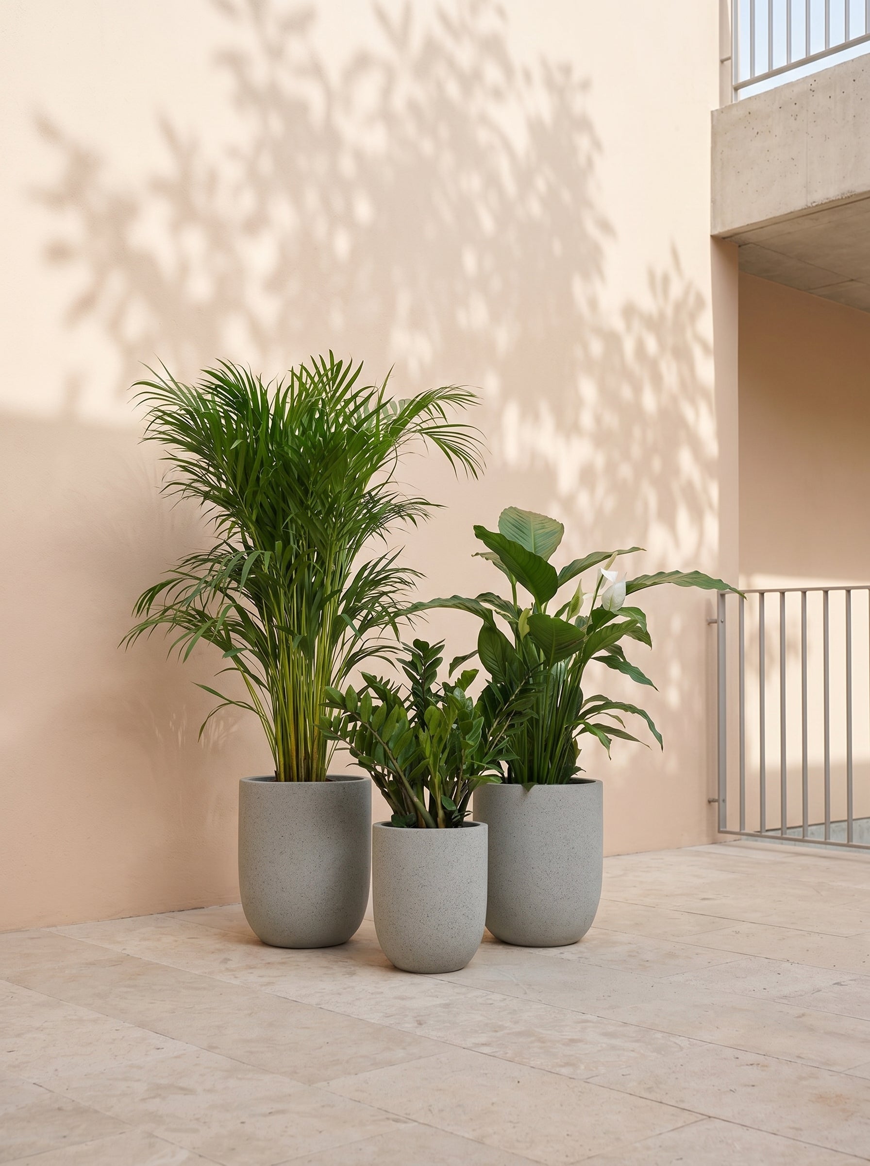Beginner Friendly Bundle - Acacia Garden Center