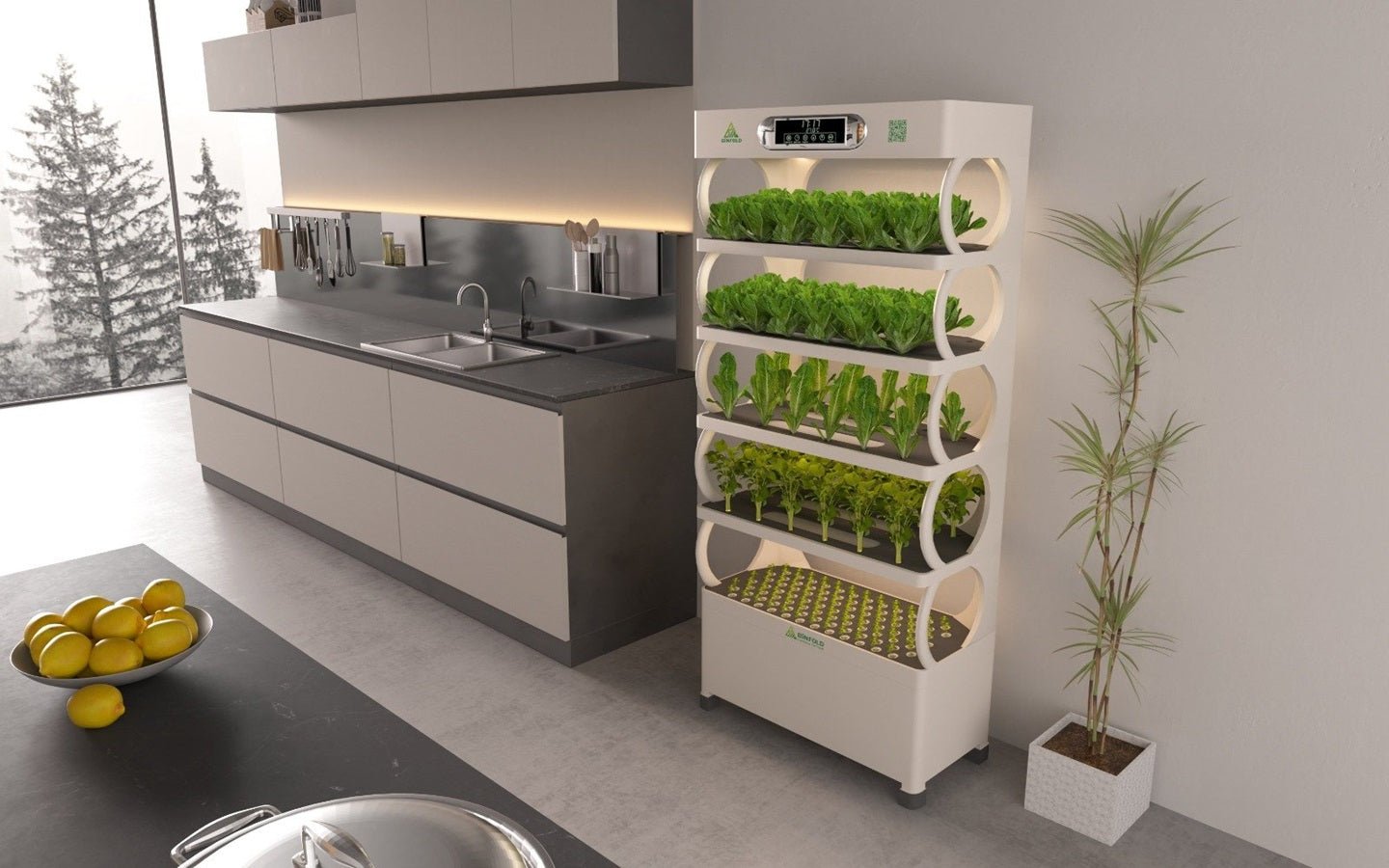 Binfold Smart Planter (Hydrophonic Smart Planter) - BiN - S3 - Acacia Garden Center