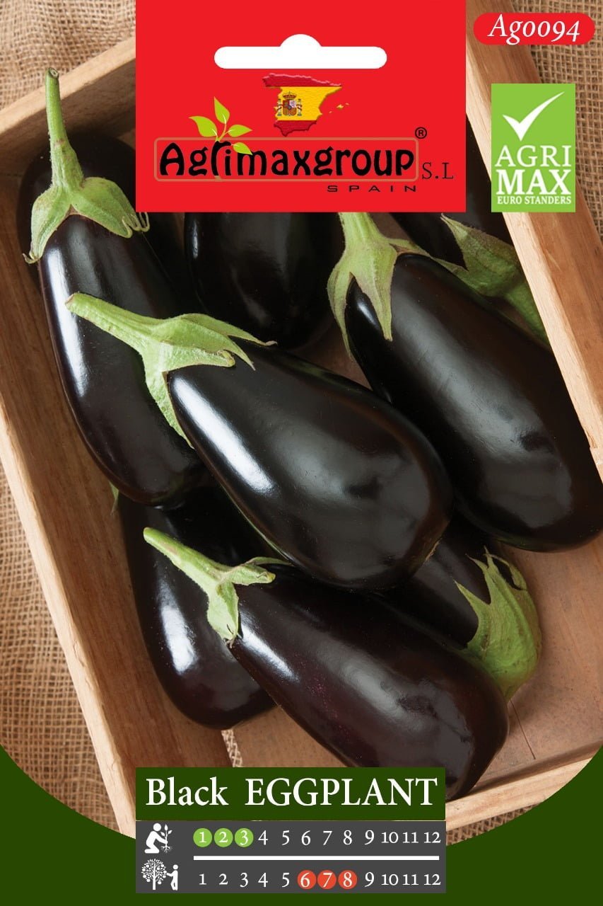 Black Eggplant - Acacia Garden Center