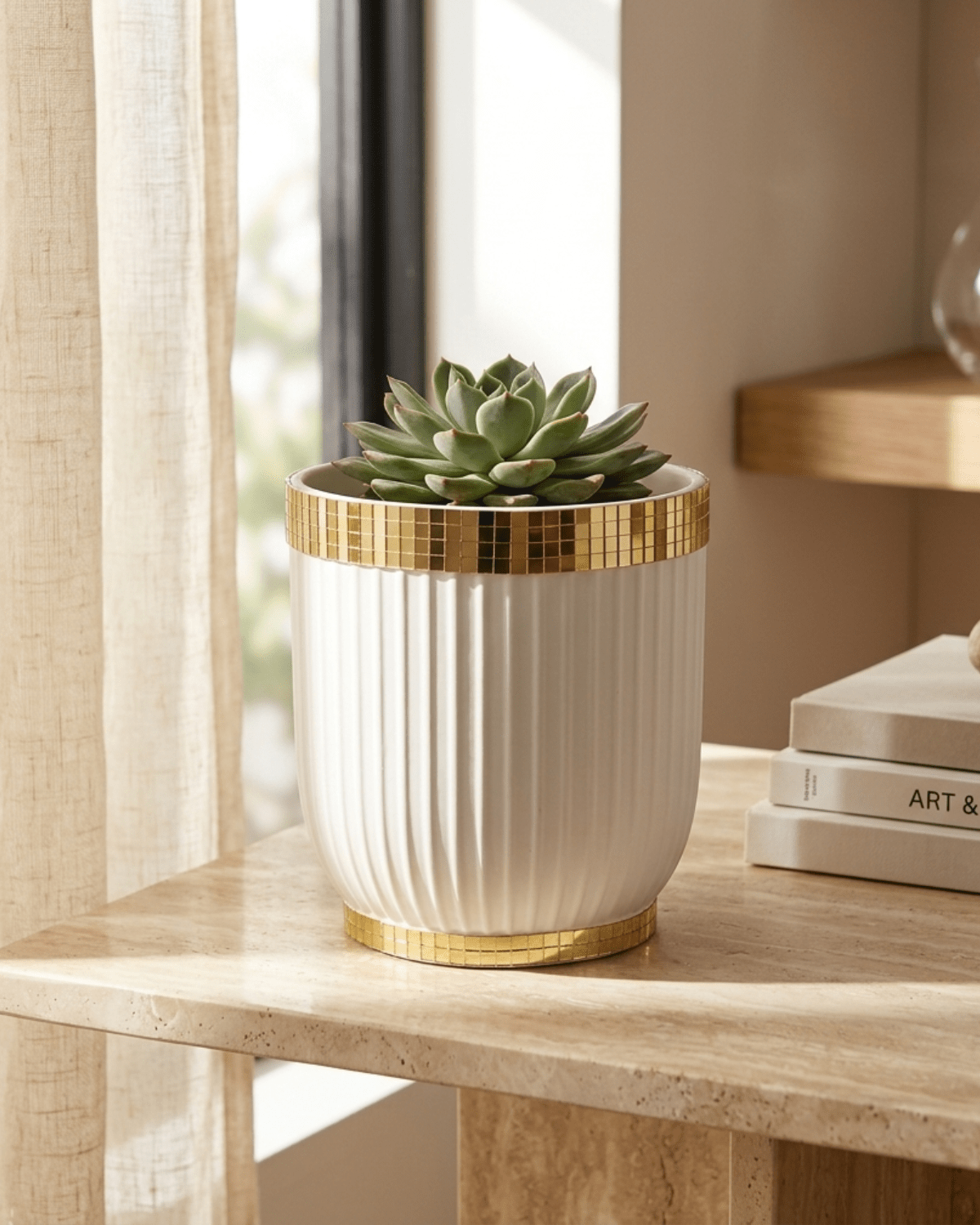 Black & White Ceramic Pot | Small Modern Planter - Acacia Garden Center