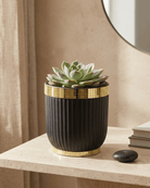 Black & White Ceramic Pot | Small Modern Planter - Acacia Garden Center