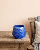 Blue Cone Ceramic Pot | Small Decorative Planter - Acacia Garden Center