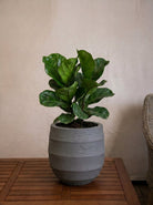 Bordo Balloon | Sphere Planter, Dia. 30–55 cm - Acacia Garden Center