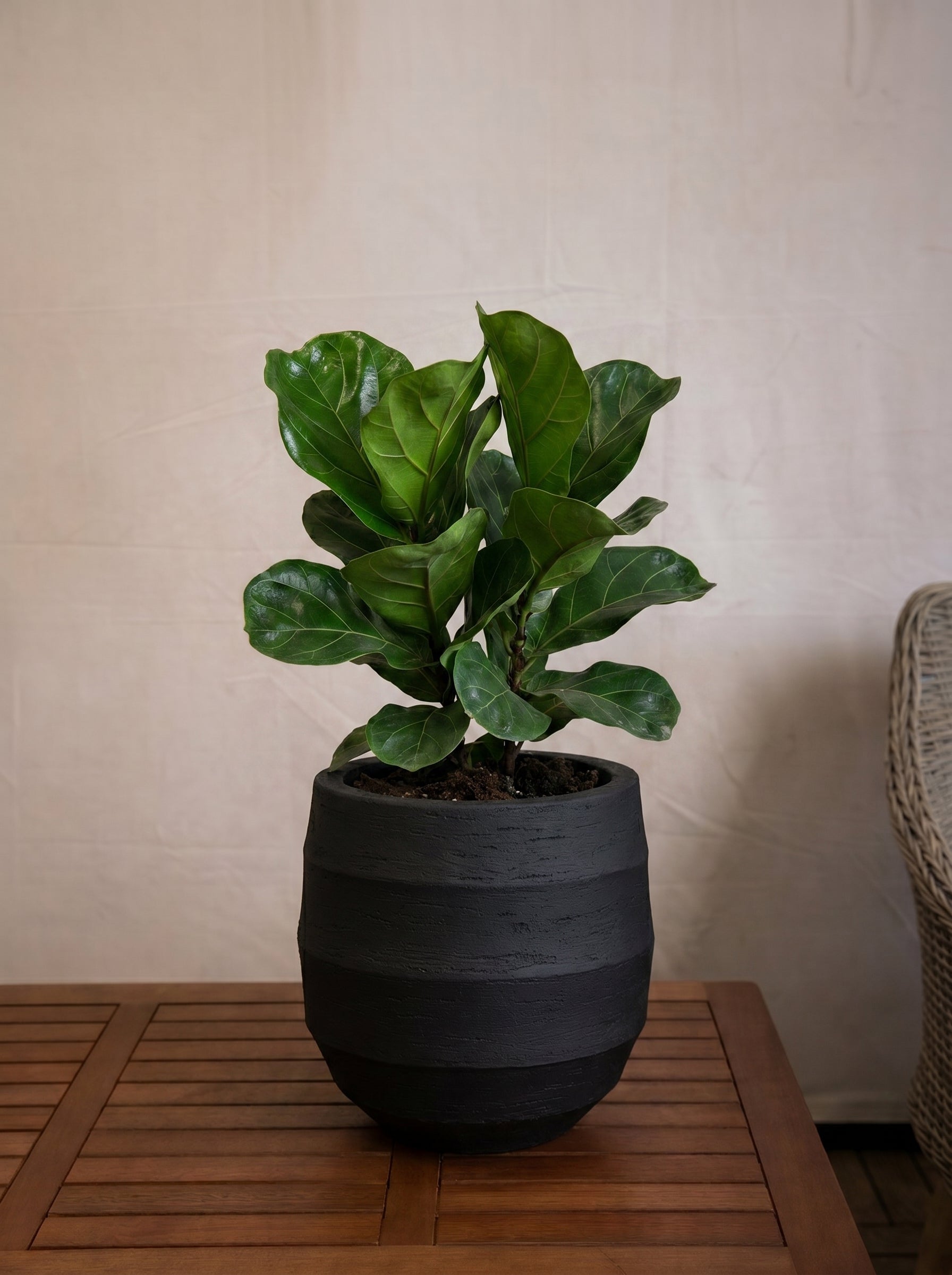 Bordo Balloon | Sphere Planter, Dia. 30–55 cm - Acacia Garden Center