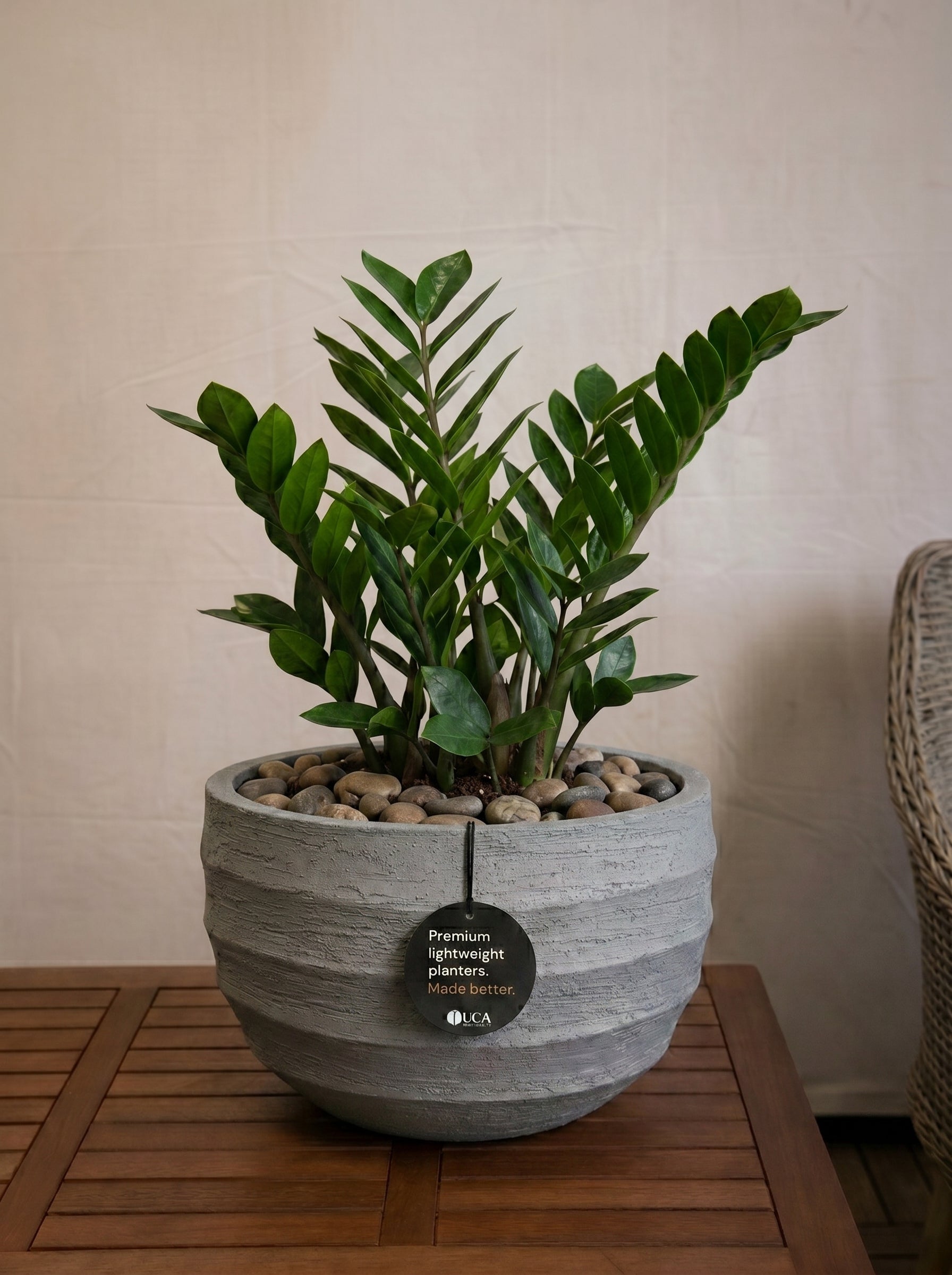 Bordo New Egg Pot Low | Premium Planter, Dia. 80–110 cm - Acacia Garden Center