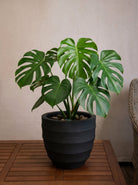 Bordo New Egg Pot | Premium Planter, Dia. 36–80 cm - Acacia Garden Center