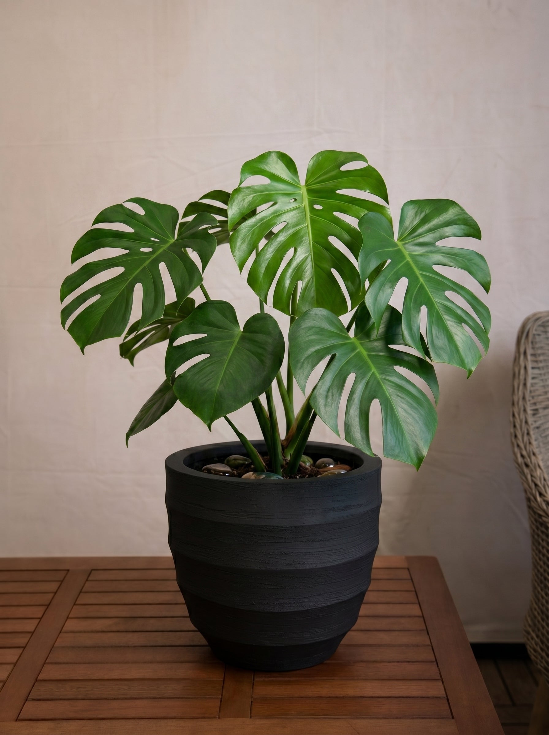 Bordo New Egg Pot | Premium Planter, Dia. 36–80 cm - Acacia Garden Center