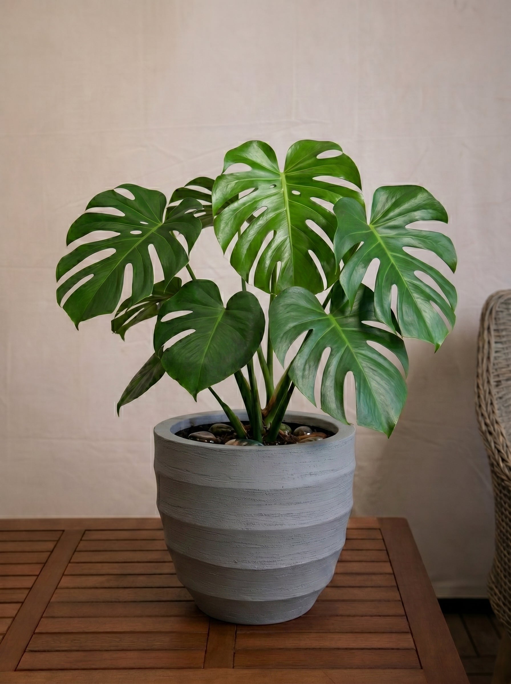 Bordo New Egg Pot | Premium Planter, Dia. 36–80 cm - Acacia Garden Center