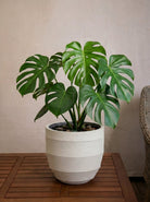 Bordo New Egg Pot | Premium Planter, Dia. 36–80 cm - Acacia Garden Center