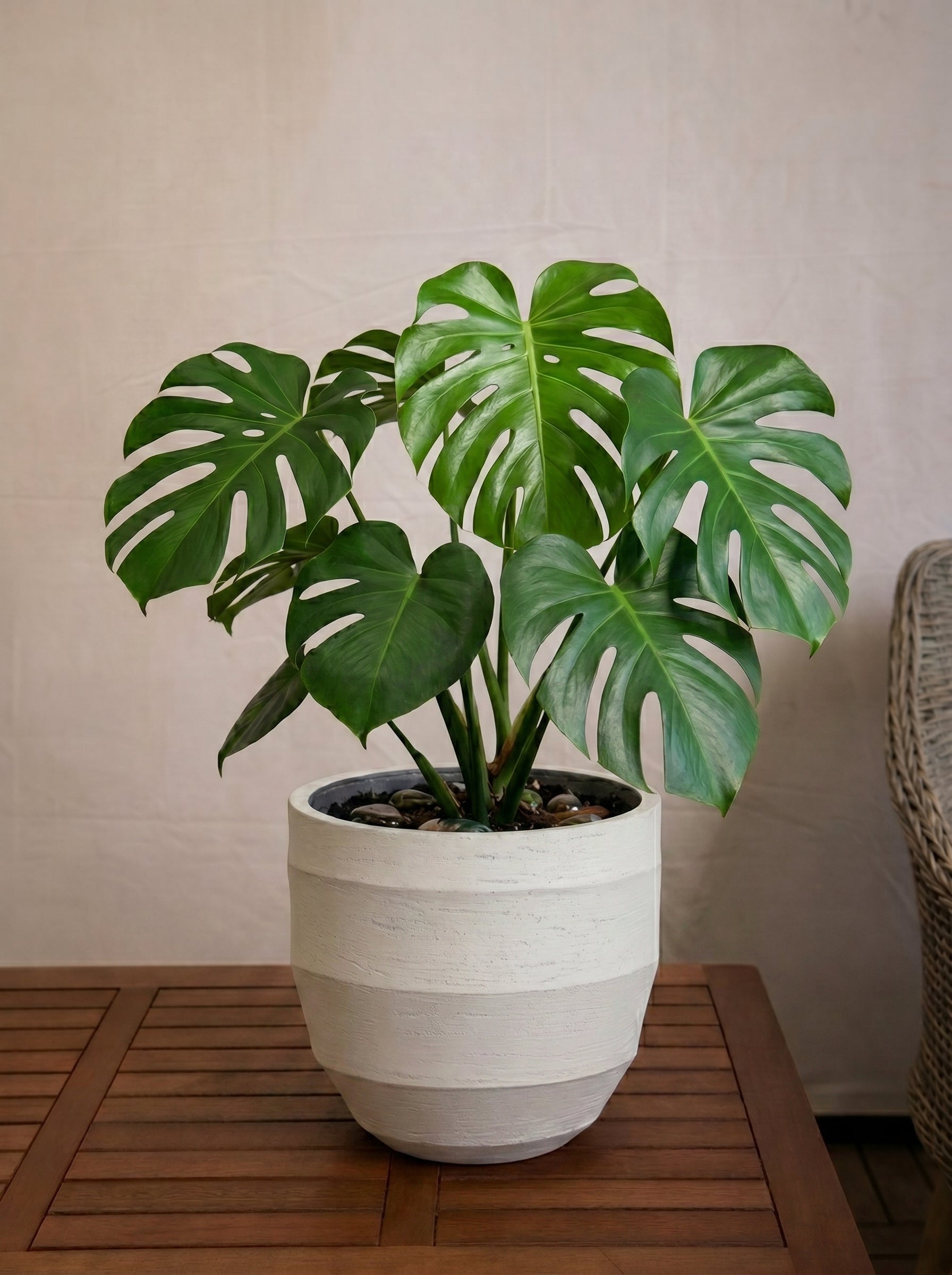Bordo New Egg Pot | Premium Planter, Dia. 36–80 cm - Acacia Garden Center