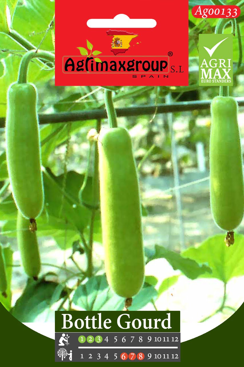 Bottle Gourd - Acacia Garden Center