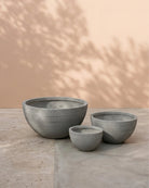 Bowl Shape - Acacia Garden Center