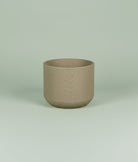 Brixon | Mix Colors Pot - Lightweight, Heat - Tolerant - Acacia Garden Center