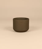 Brixon | Mix Colors Pot - Lightweight, Heat - Tolerant - Acacia Garden Center