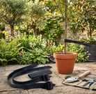 Buckle Tie/ Tree Tie (Rainbow Uk) - 60X3.8Cm - Acacia Garden Center