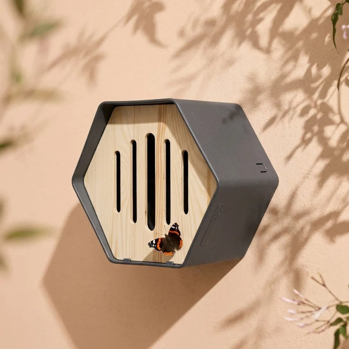 Buy Capi Europe Butterfly Hive | Garden Tools Dubai UAE – Acacia Garden ...