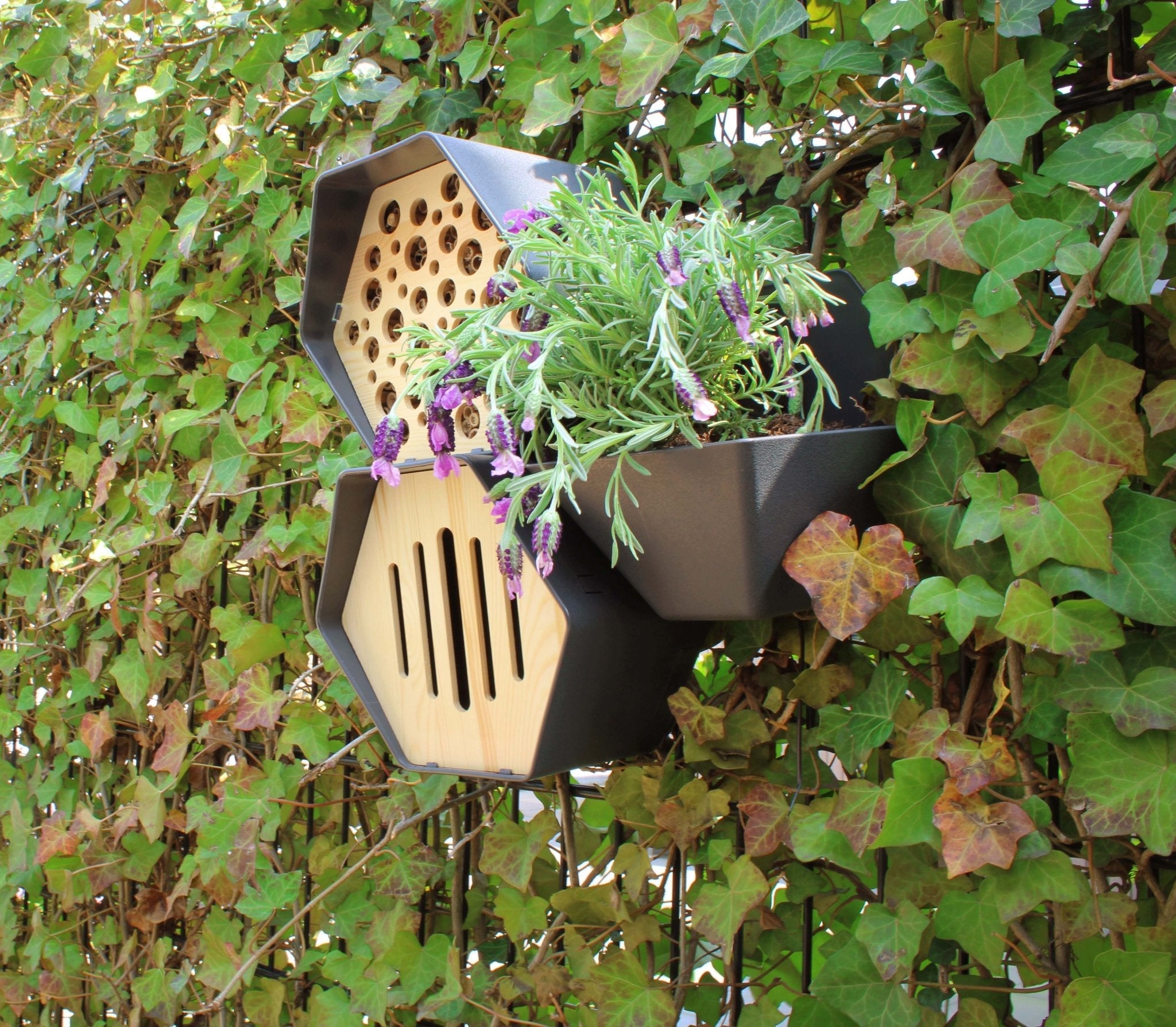 Butterfly Hive | Garden Pollinator Habitat - Acacia Garden Center