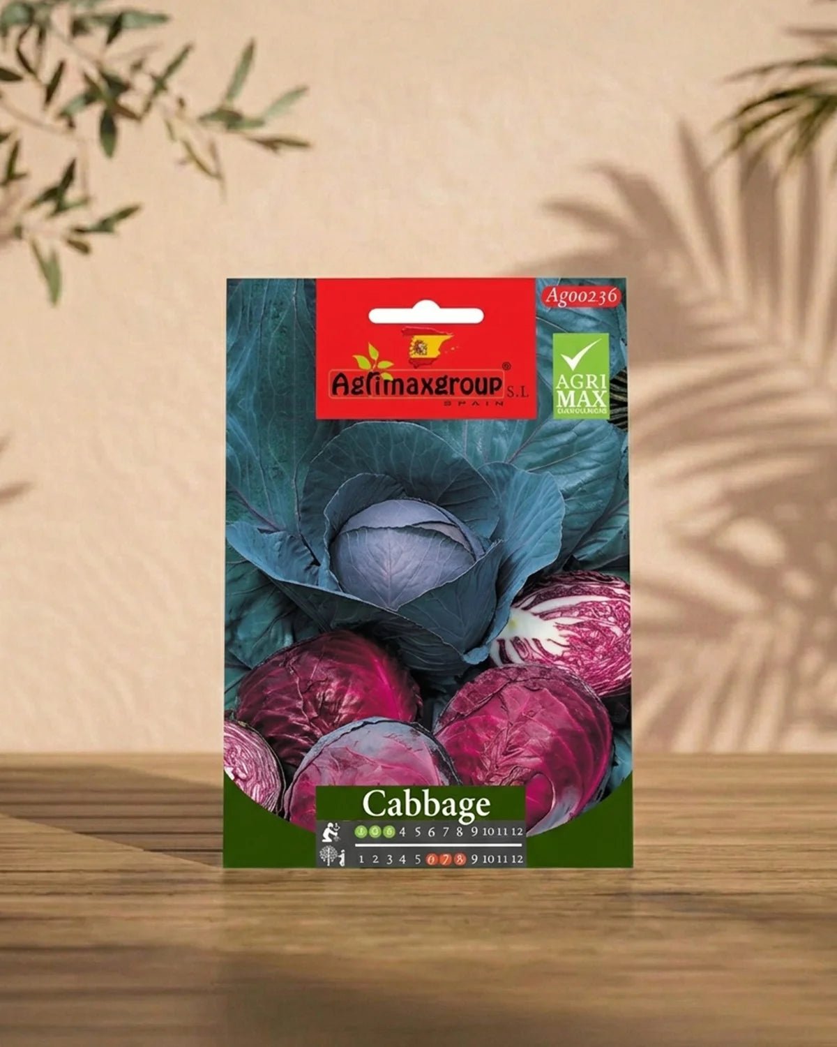 Cabbage - Acacia Garden Center