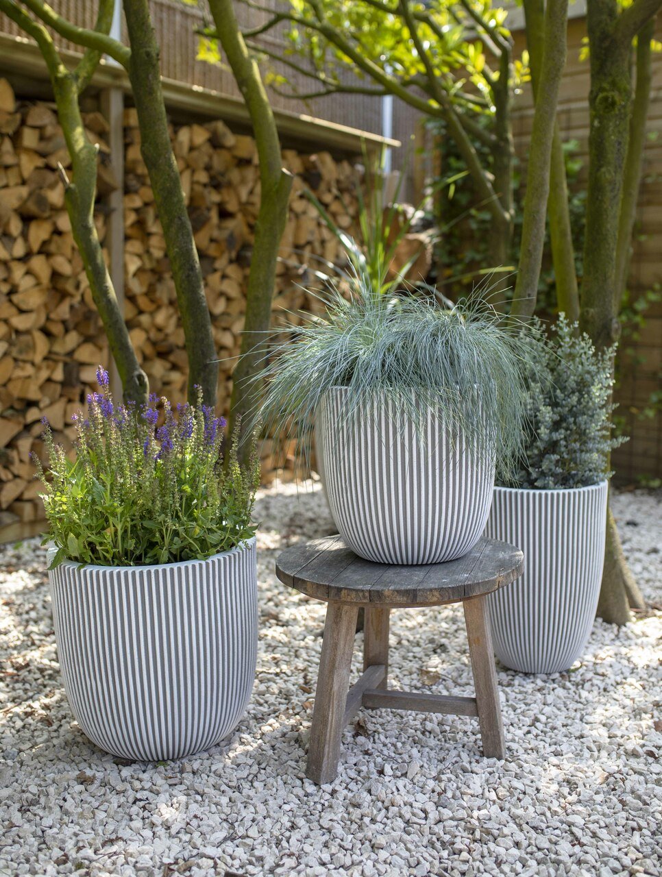 Capi Europe Low Groove Elegant Vase - Acacia Garden Center