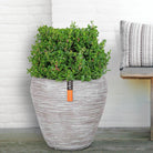 Capi Europe Nature Vase Taper Round Rib KDGR/KOFZ 42x38cm - Acacia Garden Center