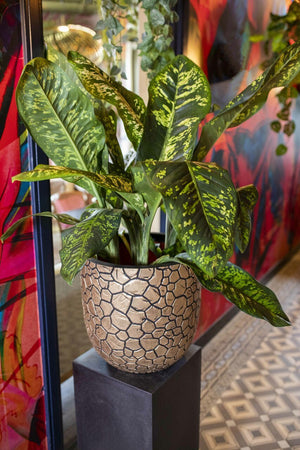 Capi Europe Planter Ball Clay NL - Acacia Garden Center