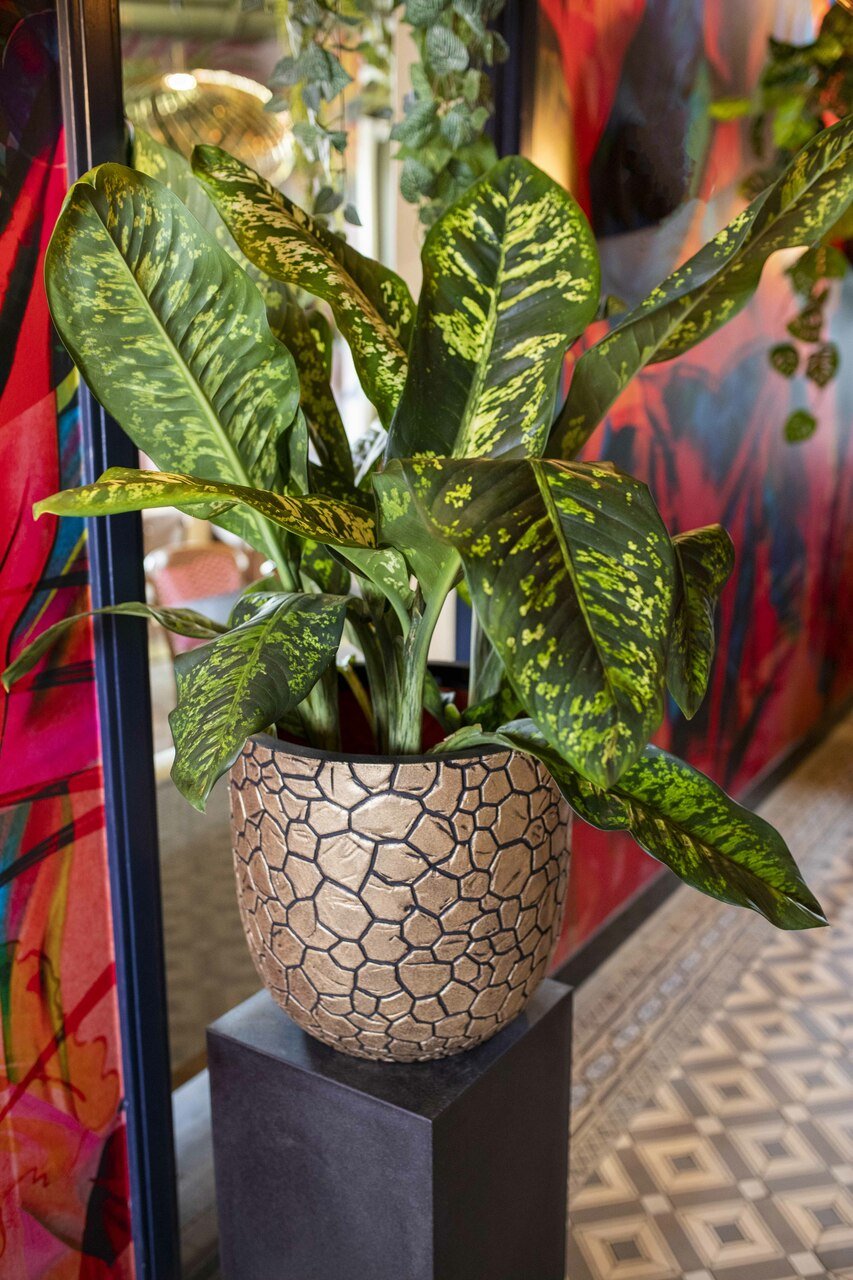 Capi Europe Planter Ball Clay NL - Acacia Garden Center