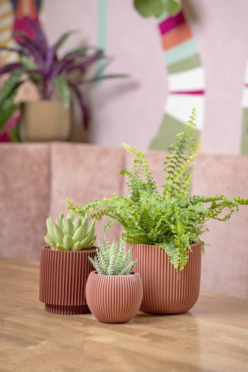 Capi Europe Vase Cylinder | Multi - Colour - Acacia Garden Center