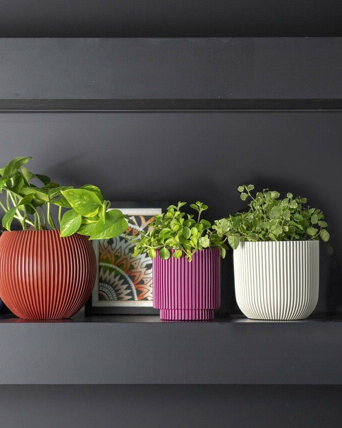 Capi Europe Vase Cylinder | Multi - Colour - Acacia Garden Center