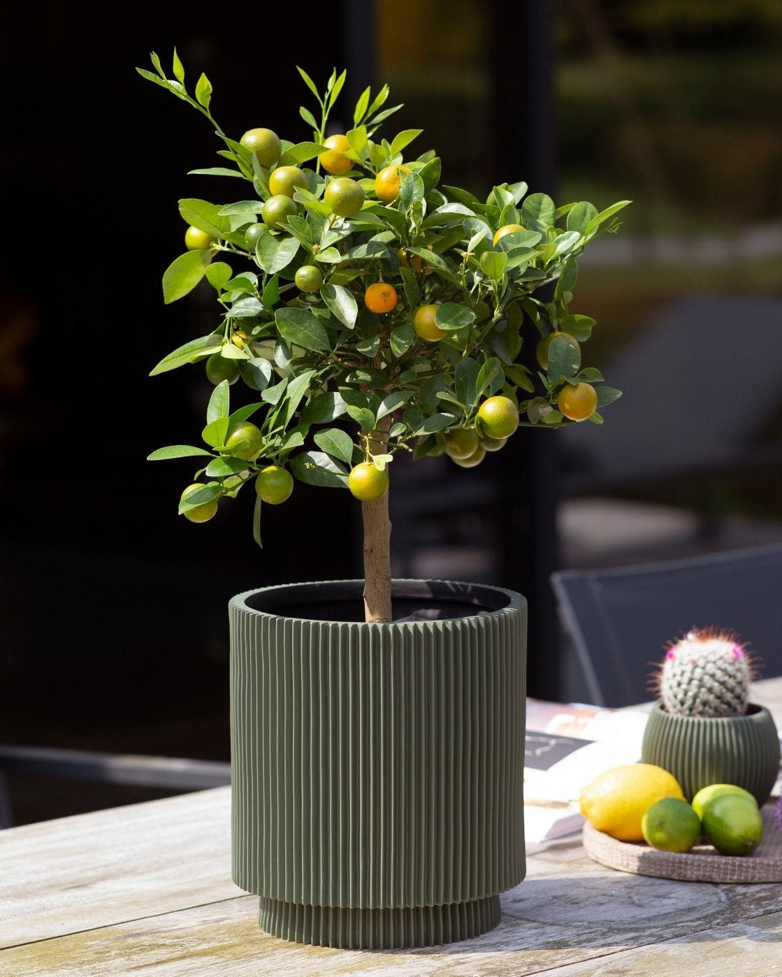 Capi Europe Vase Cylinder | Multi - Colour - Acacia Garden Center