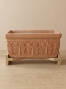 Cassetta Roma Arena Window Box - Acacia Garden Center