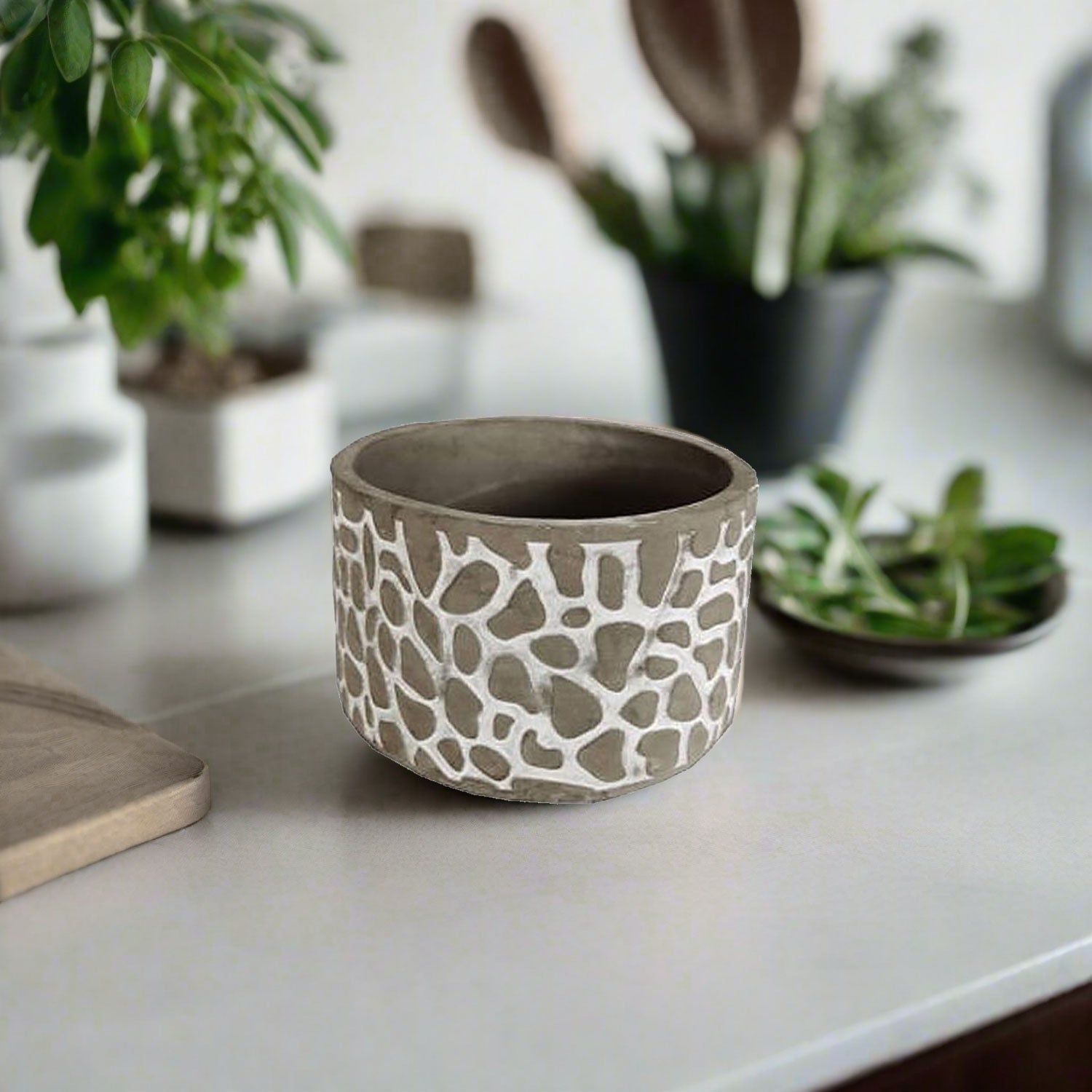 Ceramic Pot (19088QP) | Decorative, 2 Sizes - Acacia Garden Center