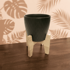 Ceramic Pot with Stand, | 16 x 16 x 15 CM - Stand 18.5 x 18.5 CM - Acacia Garden Center