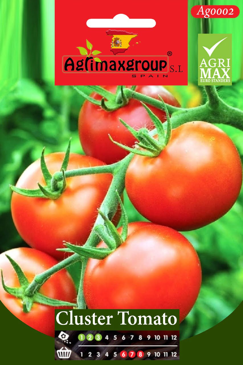 Cluster Tomato - Acacia Garden Center