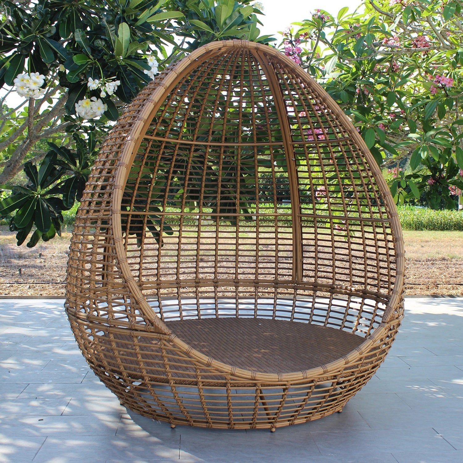 Cocoon Daybed Lounger | Enclosed Oval Design, 2–3 Seater - Acacia Garden Center