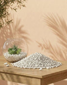 Decorative Stone Pebbles | Multi - Colour, 9–7 mm - Acacia Garden Center