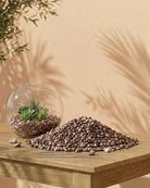 Decorative Stone Pebbles | Multi - Colour, 9–7 mm - Acacia Garden Center
