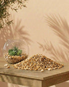 Decorative Stone Pebbles | Multi - Colour, 9–7 mm - Acacia Garden Center