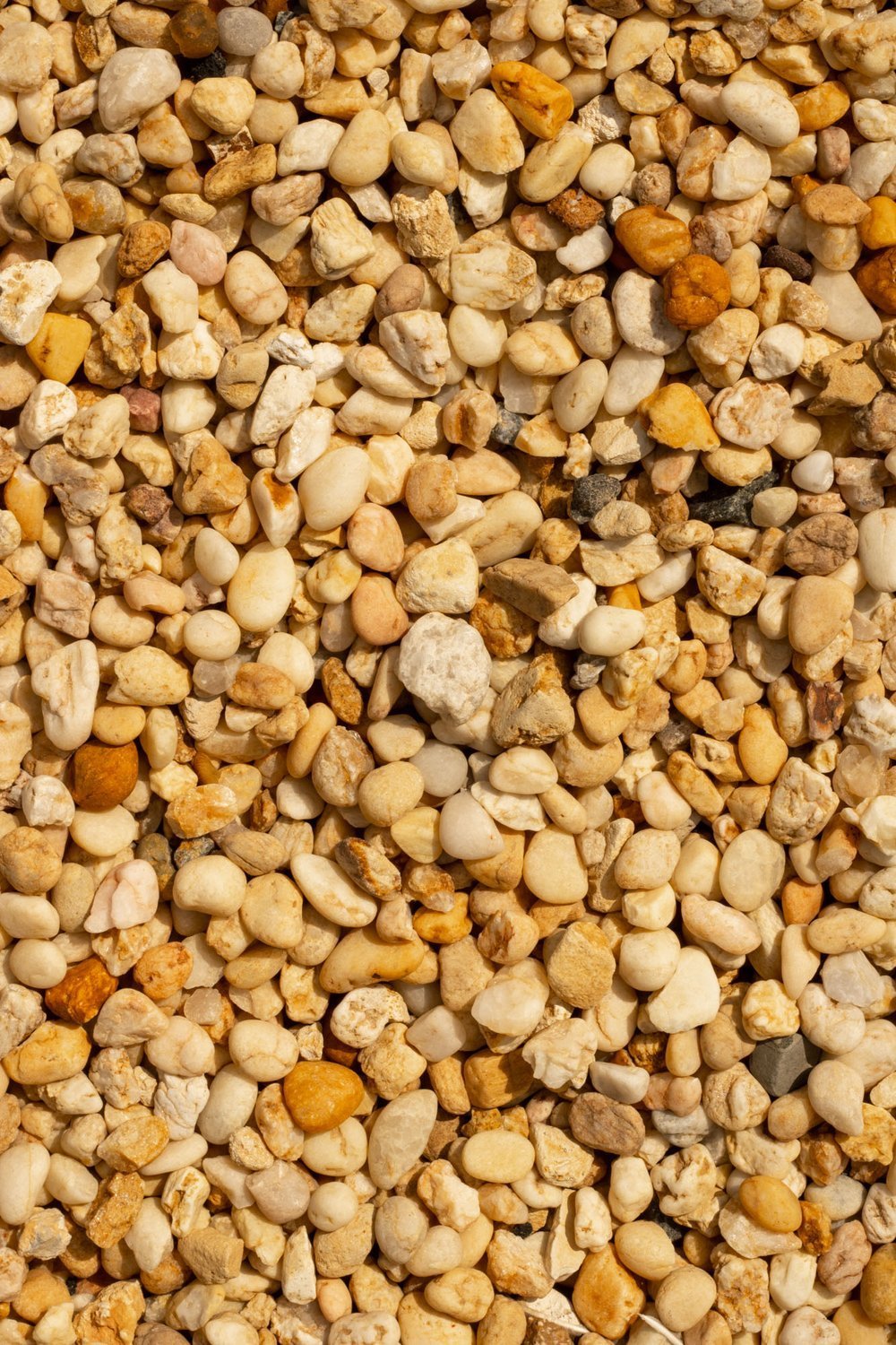 Decorative Stone Pebbles | Multi - Colour, 9–70 mm - Acacia Garden Center