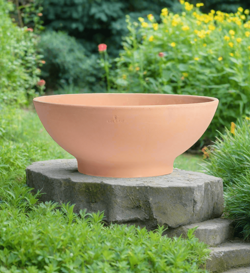Degrea Ciotolone Arena Low Bowl - Acacia Garden Center