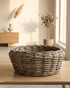 Drypot Bowl (901255) | Grey Rattan, 55 × 24 cm - Acacia Garden Center