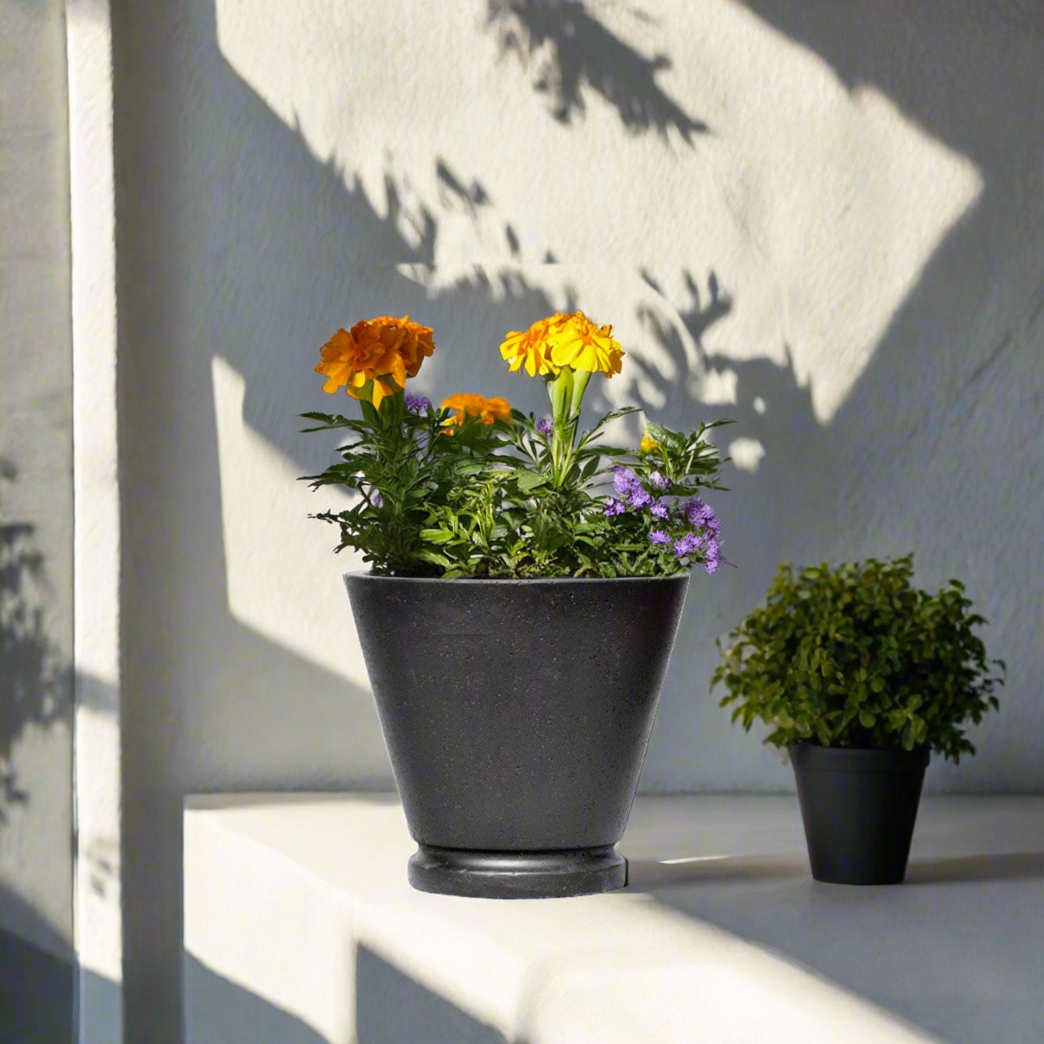 Edincott Round Stonelite Pot SL114250 - Black - Acacia Garden Center