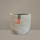 Egg Planter BOFI 132 - Acacia Garden Center