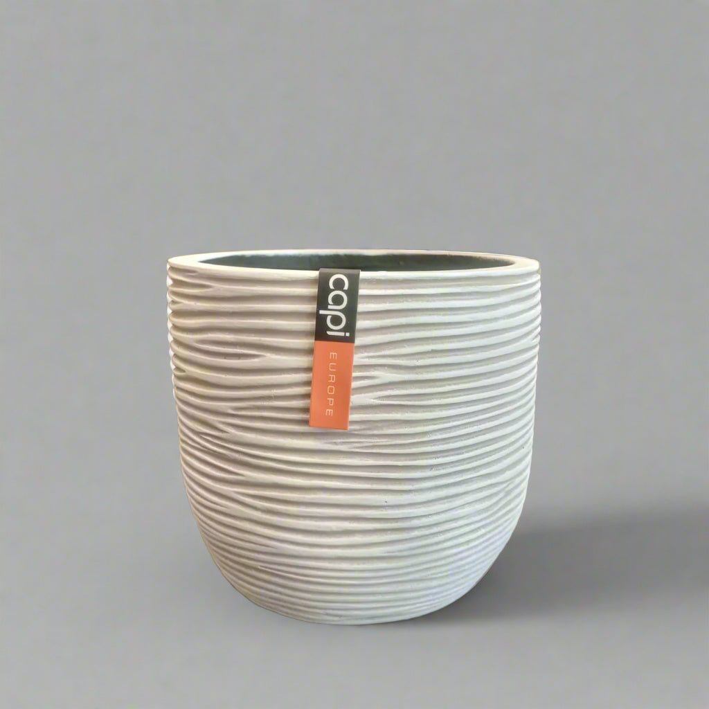 Egg Planter BOFI 132 - Acacia Garden Center