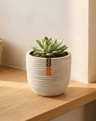 Egg Planter BOFI 132 - Acacia Garden Center