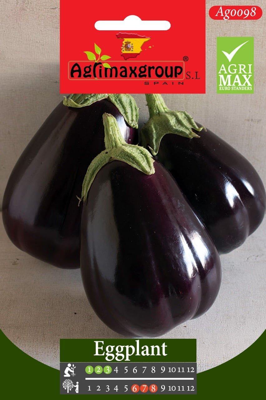 Eggplant - Acacia Garden Center