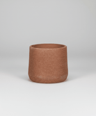 Esben 06D | Mix Colors Pot - Lightweight, Heat - Tolerant - Acacia Garden Center