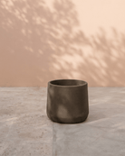 Esben 06D | Mix Colors Pot - Lightweight, Heat - Tolerant - Acacia Garden Center